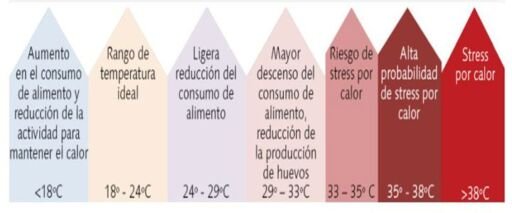 Rangos de temperatura
