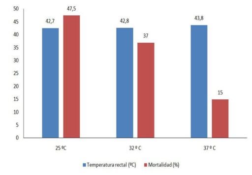 Efecto de la temperatura de cría en la temperatura corporal y mortalidad de pollos de engorde.