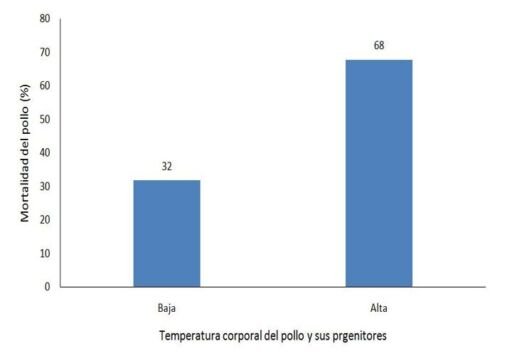 Gráfico de mortalidad para pollos descendientes de reproductores