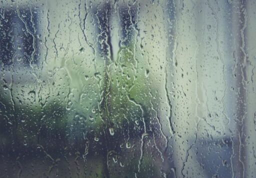 Gotas de humedad, Agropedia