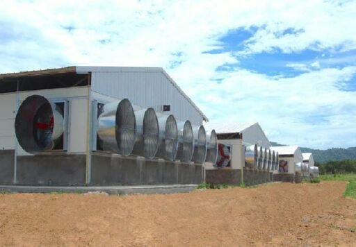 Galpones con ventilación de túnel, Agropedia