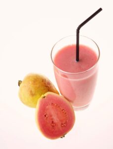 guayaba - cultivo de guayaba