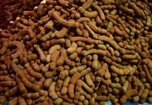 Tamarindo - Beneficios - Propiedades