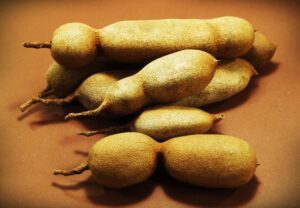 Tamarindo - Cultivo de tamarindo