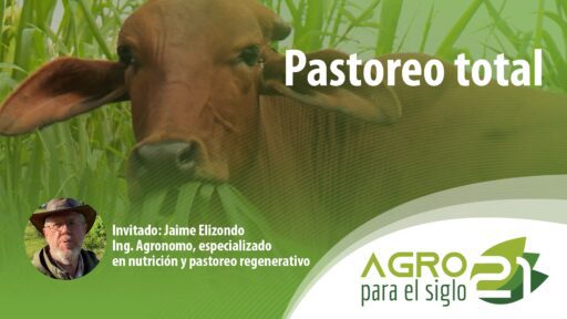 Pastoreo total