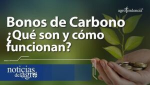 Bonos de Carbono ¿Qué son y cómo funcionan?