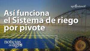 Sistema de riego por pivote central