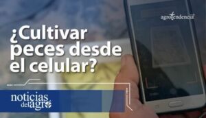 Acuicultura remota - ¿Cómo cultivar peces desde el celular?
