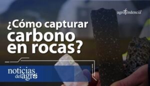 ¿Cómo capturar carbono en rocas? 🌫