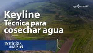 ¿Cómo cosechar agua? 💧 Técnica Keyline
