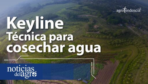 ¿Cómo cosechar agua? 💧 Técnica Keyline