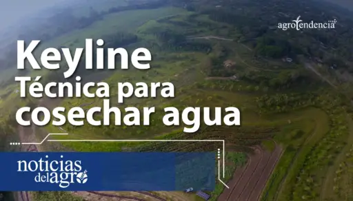 ¿Cómo cosechar agua? 💧 Técnica Keyline