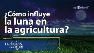 ¿Cómo influye la luna en la agricultura?