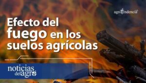 Efecto del fuego en los suelos agrícolas