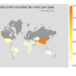 cultivo de maní - ciclo - cosecha