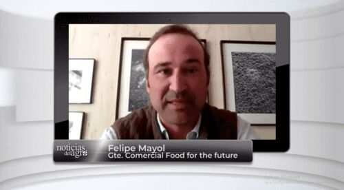 Producción de insectos para alimentación animal