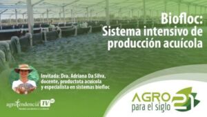 BIOFLOC. Sistema intensivo de producción acuícola