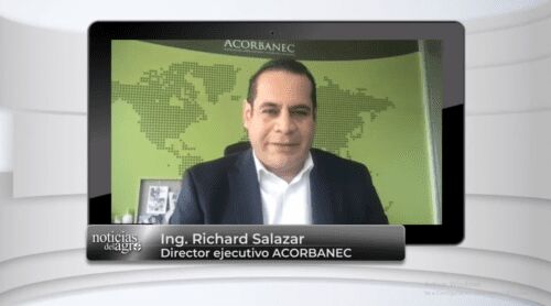 Caen volúmenes de exportación bananera en Ecuador