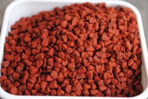 onoto - cultivo de onoto - beneficios - contraindicaciones
