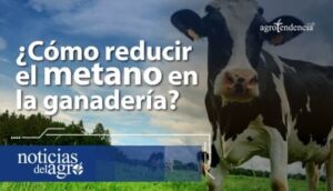 Cómo la ganadería contribuye con el medio ambiente