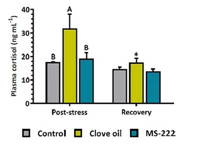 Gráfico de la evaluación de bienestar en peces a partir de la presencia de cortisol en plasma