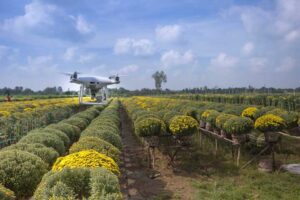 Drones en la agricultura - agricultura de precisión