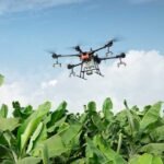 Drones en la agricultura - agricultura de precisión