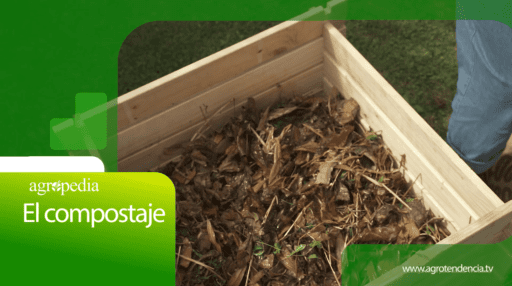 Proceso de compostaje – Agro en 2 minutos