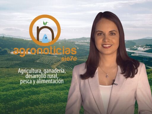 AGRONOTICIAS SIETE