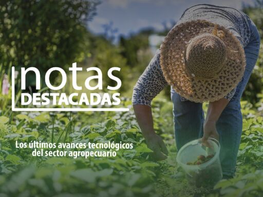 NOTAS DESTACADAS