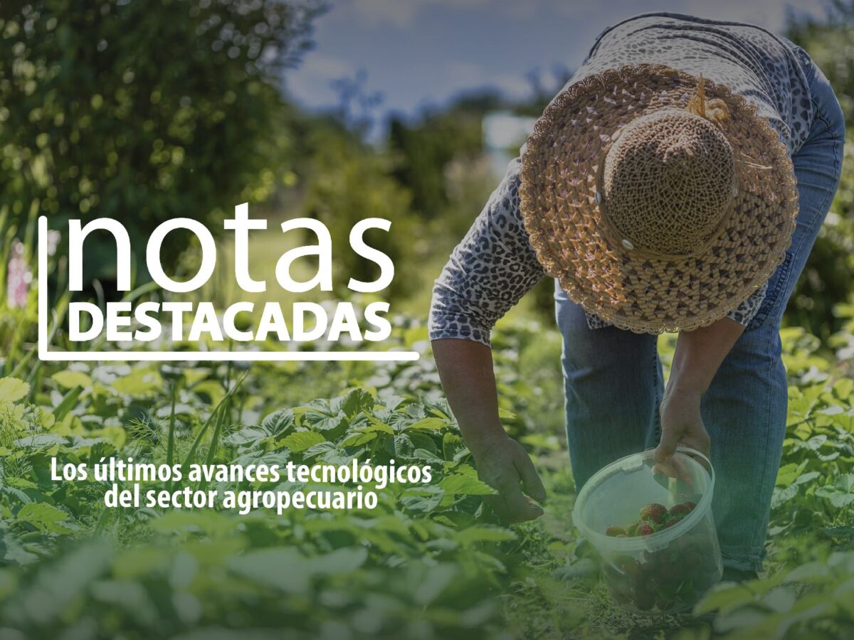 notas destacas agrotendencia - Agrotendencia TV