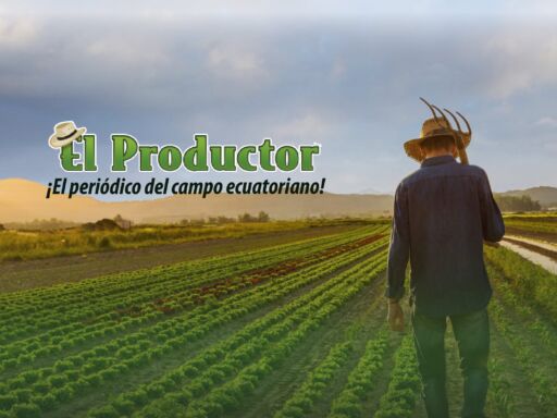 EL PRODUCTOR