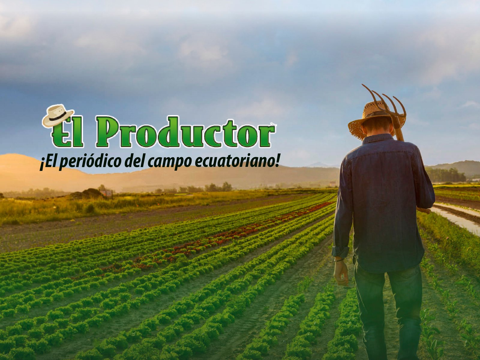 el productor - Agrotendencia TV
