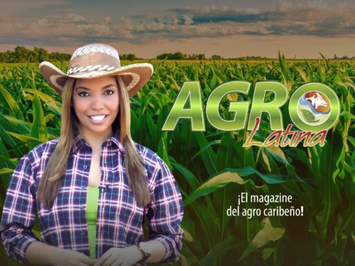 AGRO LATINA