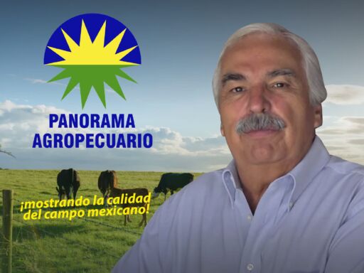 PANORAMA AGROPECUARIO MÉX