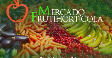 mercado frutihorticola - Agrotendencia TV