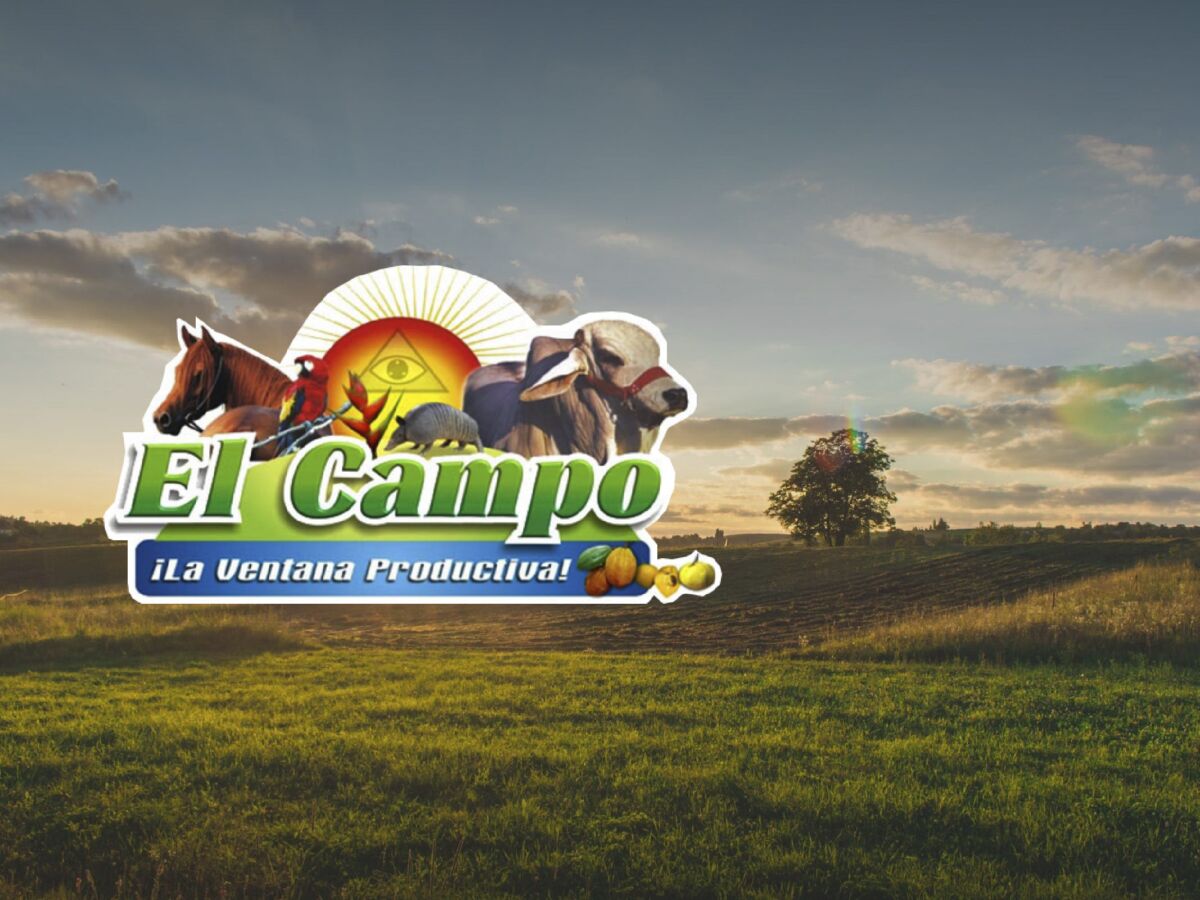 el campo caquetá - Agrotendencia TV