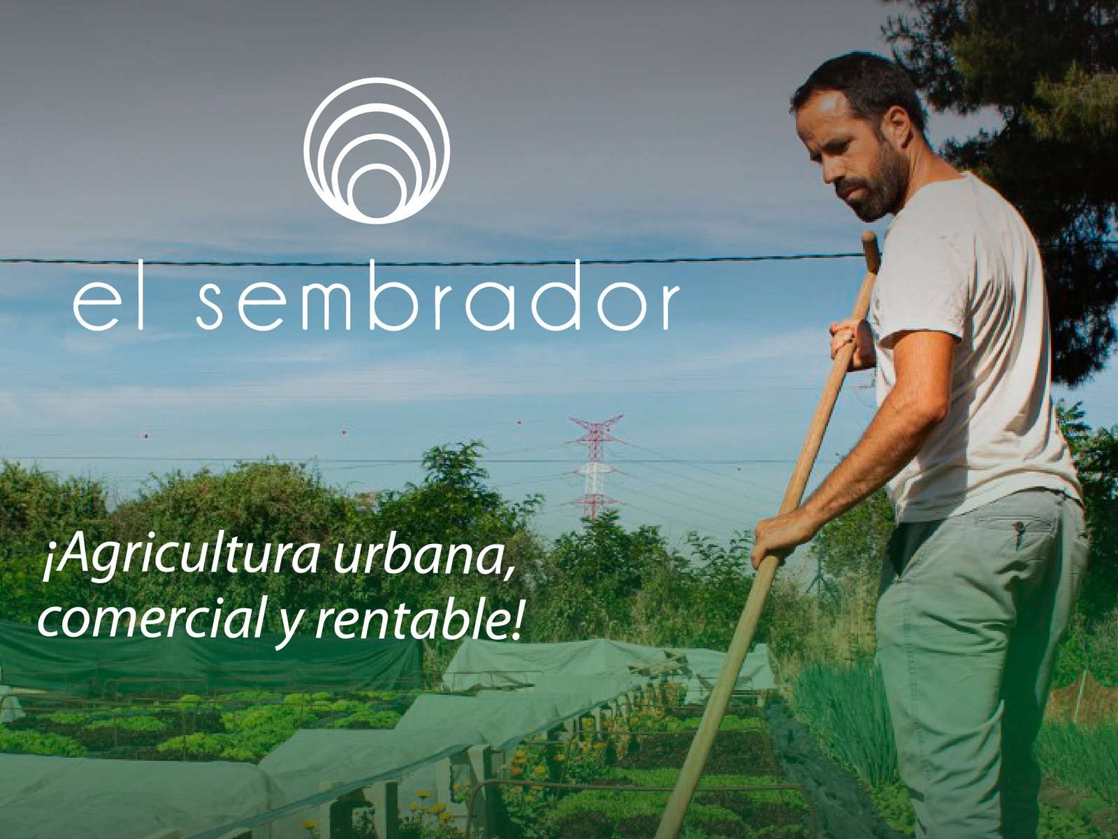el sembrador - Agrotendencia TV