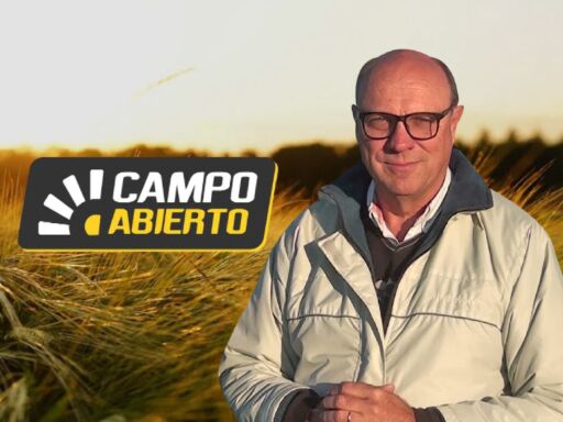 CAMPO ABIERTO