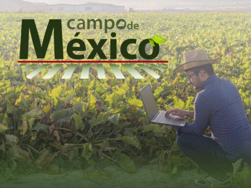 CAMPO DE MÉXICO