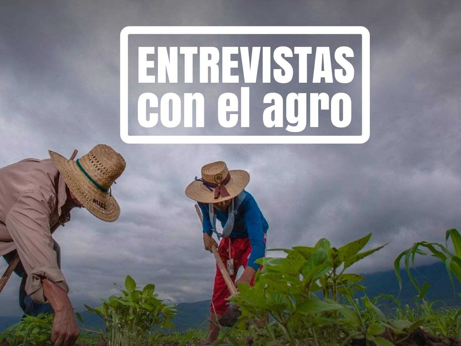 Entrevistas con el agro - Agrotendencia TV