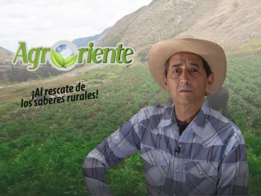 AGRORIENTE