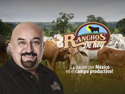RANCHOS DE HOY