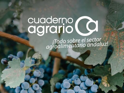 CUADERNO AGRARIO