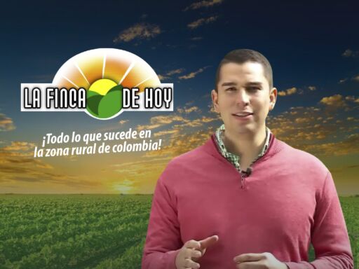 LA FINCA DE HOY