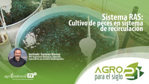 Sistema de Recirculación en Acuicultura
