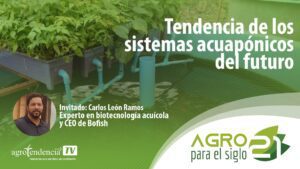 Tendencia de los sistemas acuapónicos del futuro