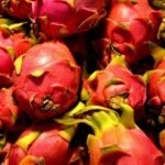 cultivo de pitahaya