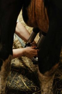 ordeño, sistemas de ordeño, que es un sistema de ordeño
