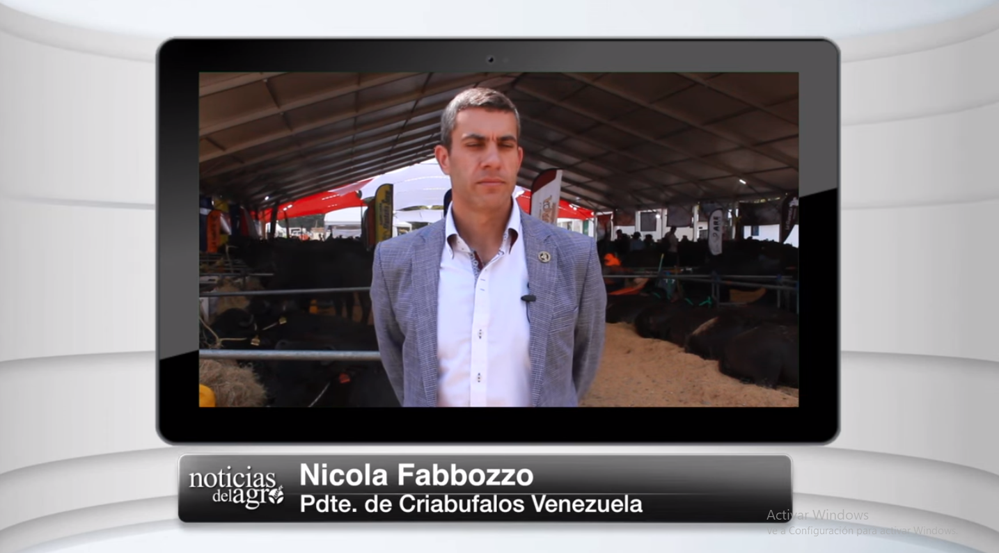 Búfalos - Potencial productivo y exportador en Venezuela